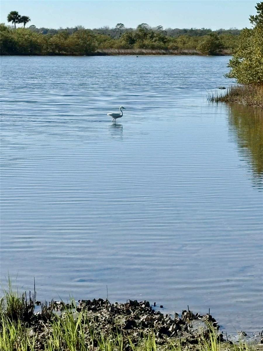 Image 18 of 28 For 75 Ocean Palm Villa S 75