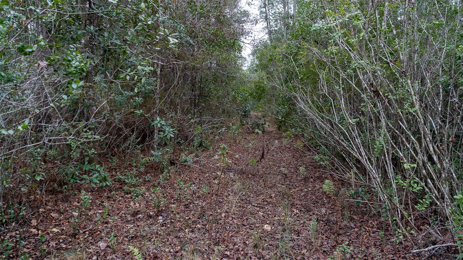 Image 10 of 15 For 4405 State Road 206 W