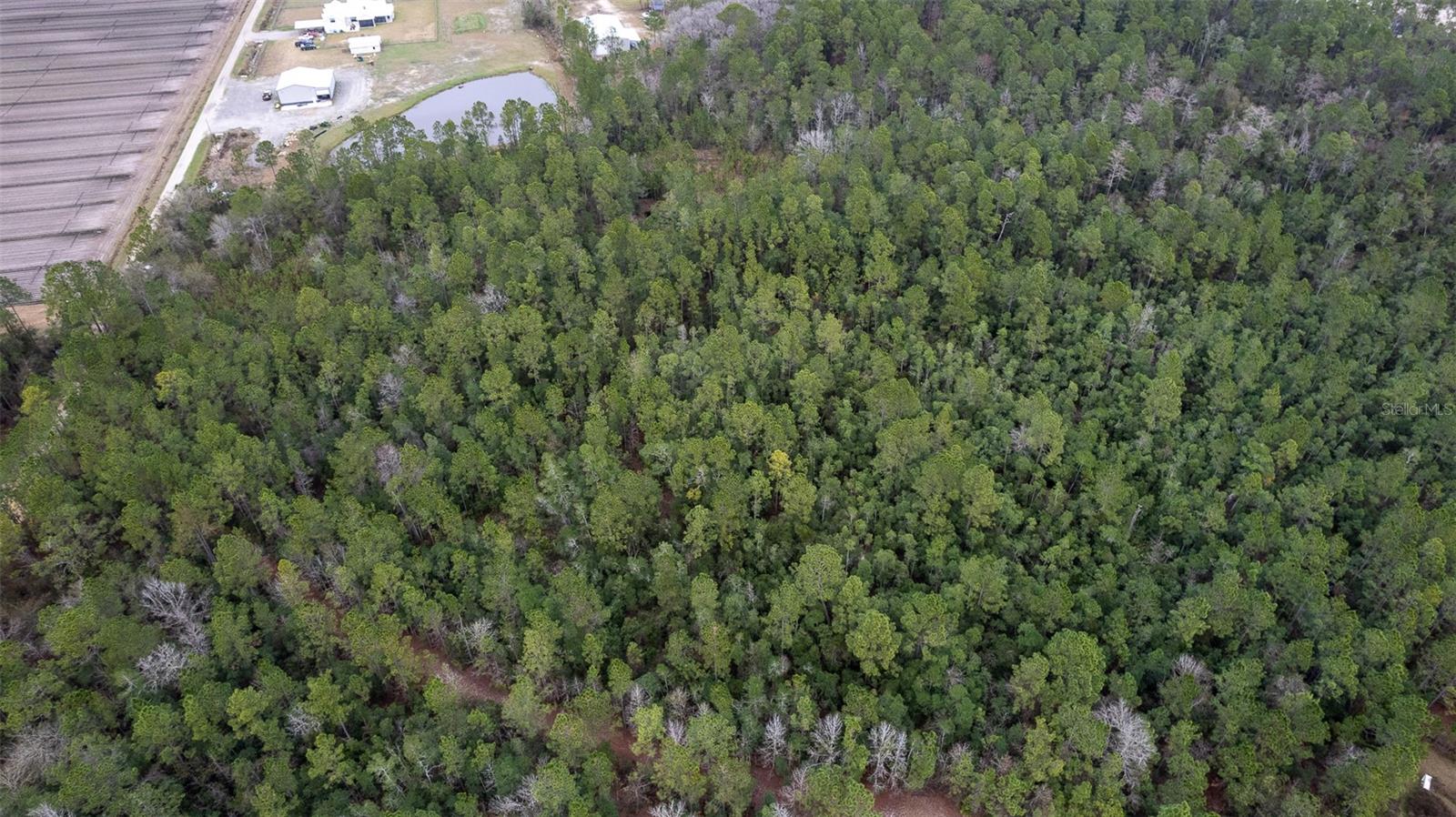 Image 13 of 15 For 4405 State Road 206 W