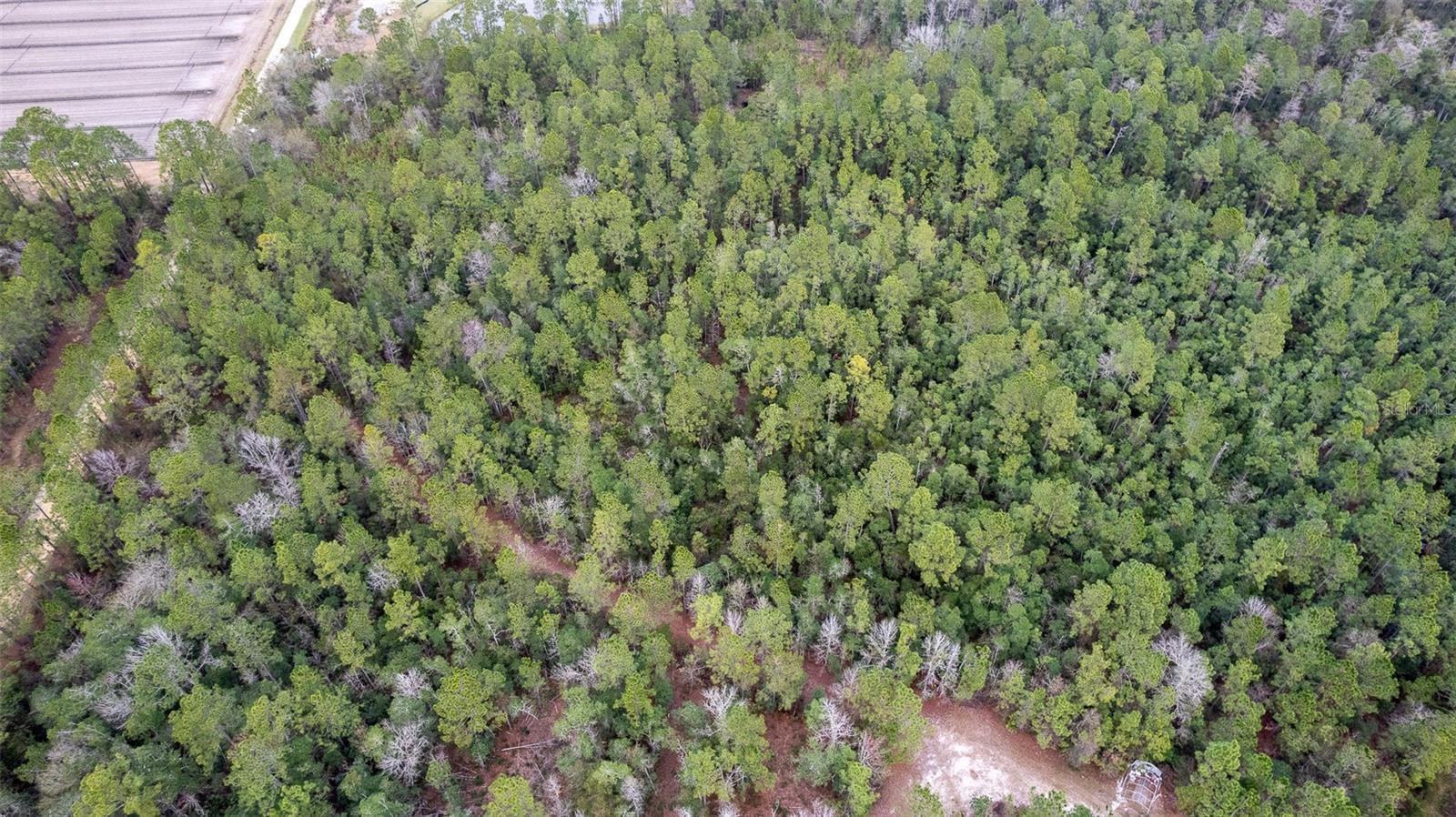 Image 14 of 15 For 4405 State Road 206 W