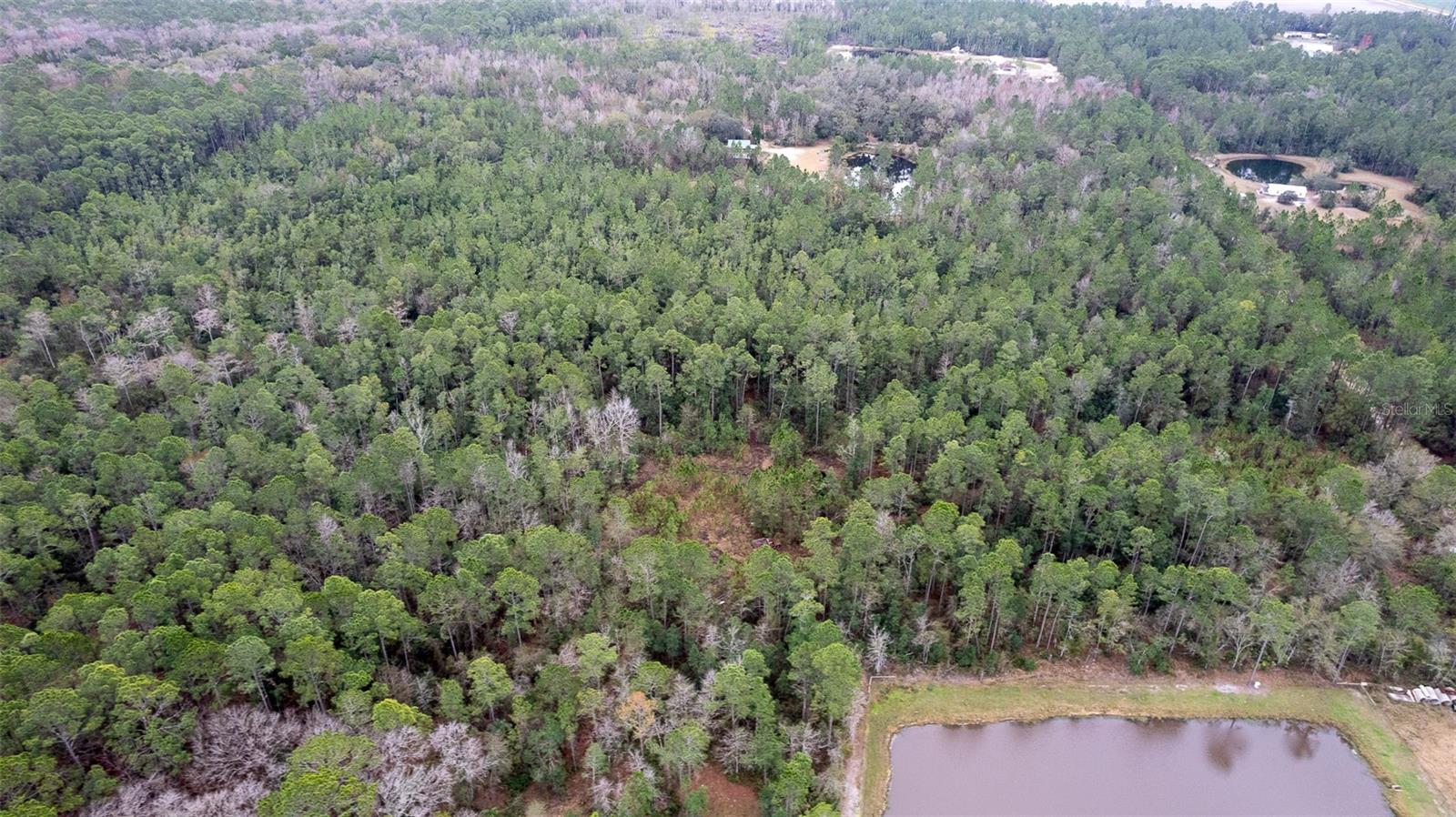 Image 15 of 15 For 4405 State Road 206 W