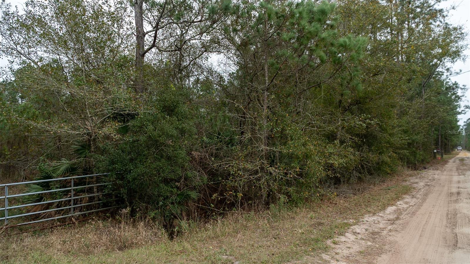 Image 5 of 15 For 4405 State Road 206 W