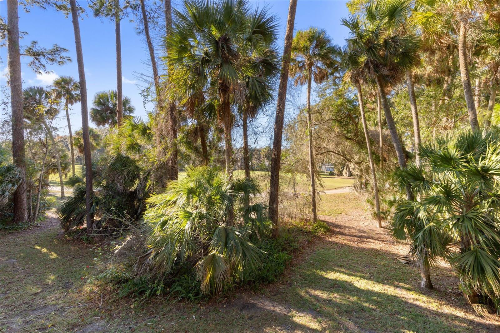 Image 31 of 53 For 6 Greenbriar Court 6