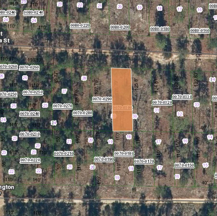 Details for 129 West Virginia Street, HAWTHORNE, FL 32640