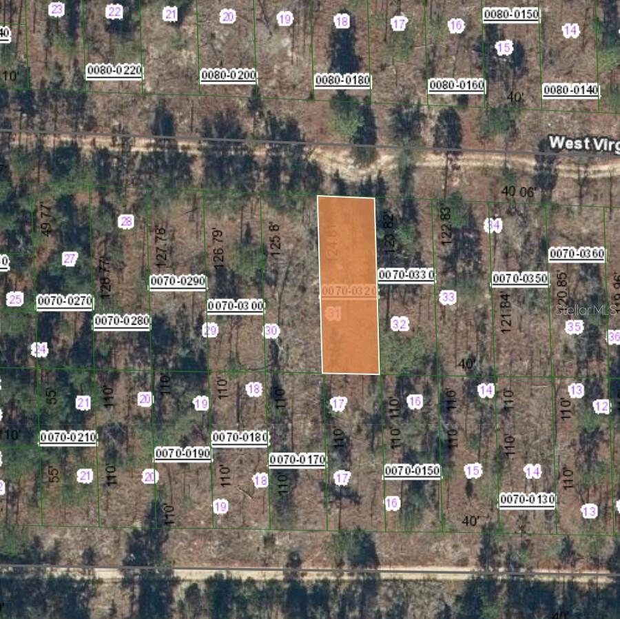 Details for 125 West Virginia Street, HAWTHORNE, FL 32640