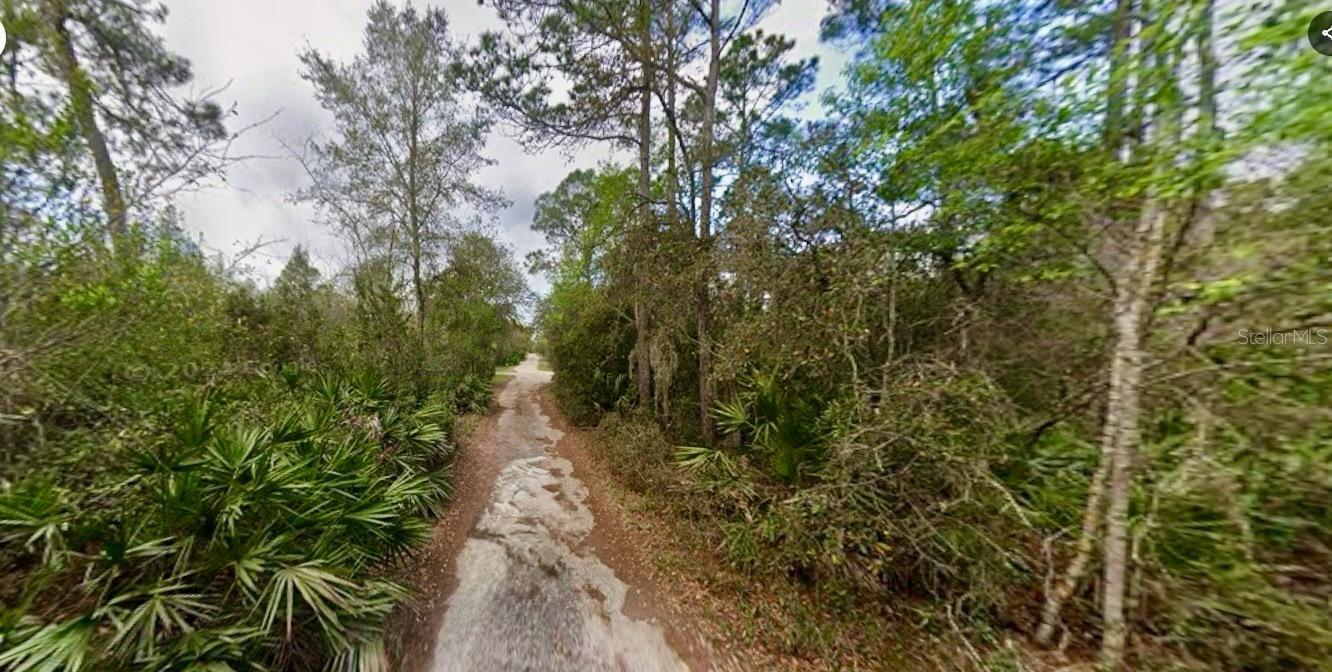 Image 3 of 5 For 31217 Lorine Street