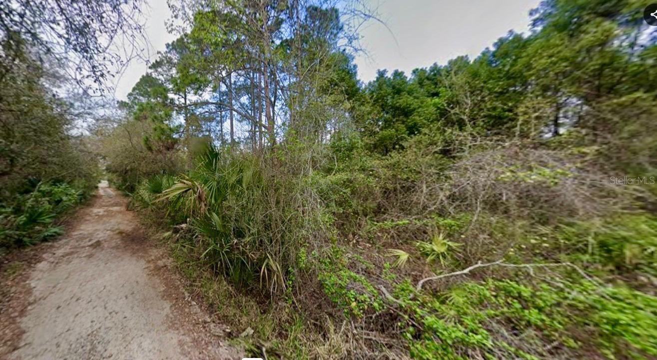 Image 4 of 5 For 31217 Lorine Street