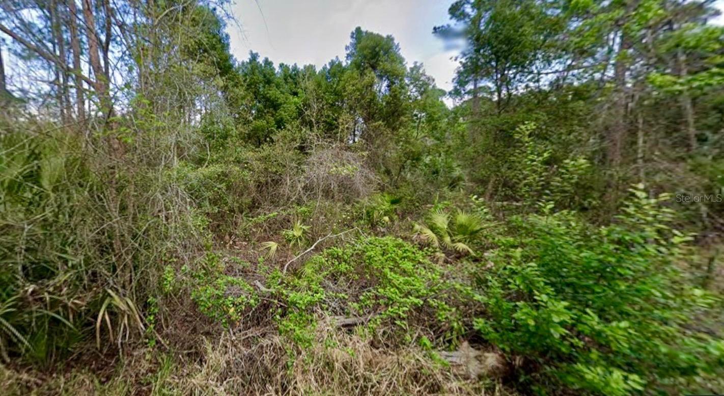 Image 5 of 5 For 31217 Lorine Street