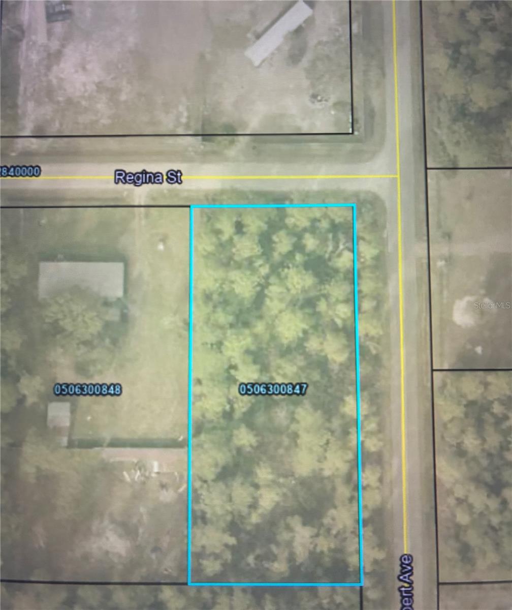 Details for 4205 Regina Street, HASTINGS, FL 32145