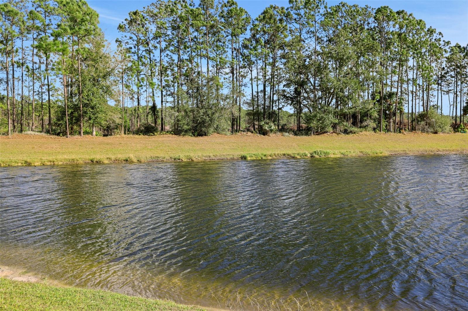 Image 3 of 23 For 42 Longridge Lane