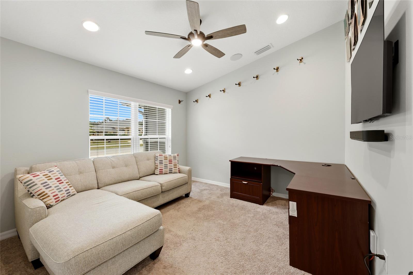 Image 11 of 64 For 15 Zonal Geranium Court