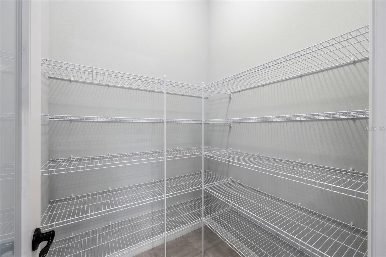 Image 30 of 64 For 15 Zonal Geranium Court