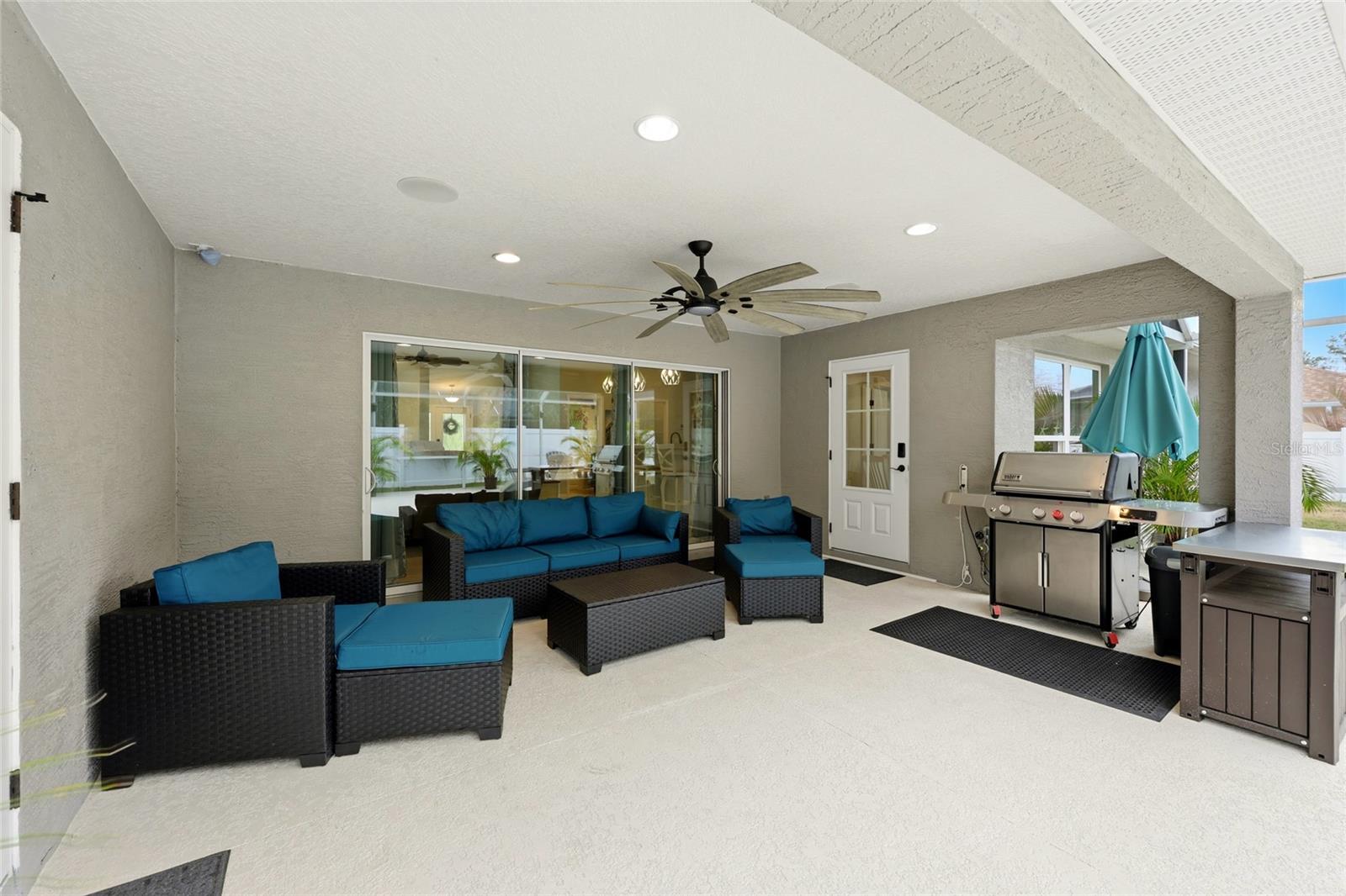 Image 49 of 64 For 15 Zonal Geranium Court