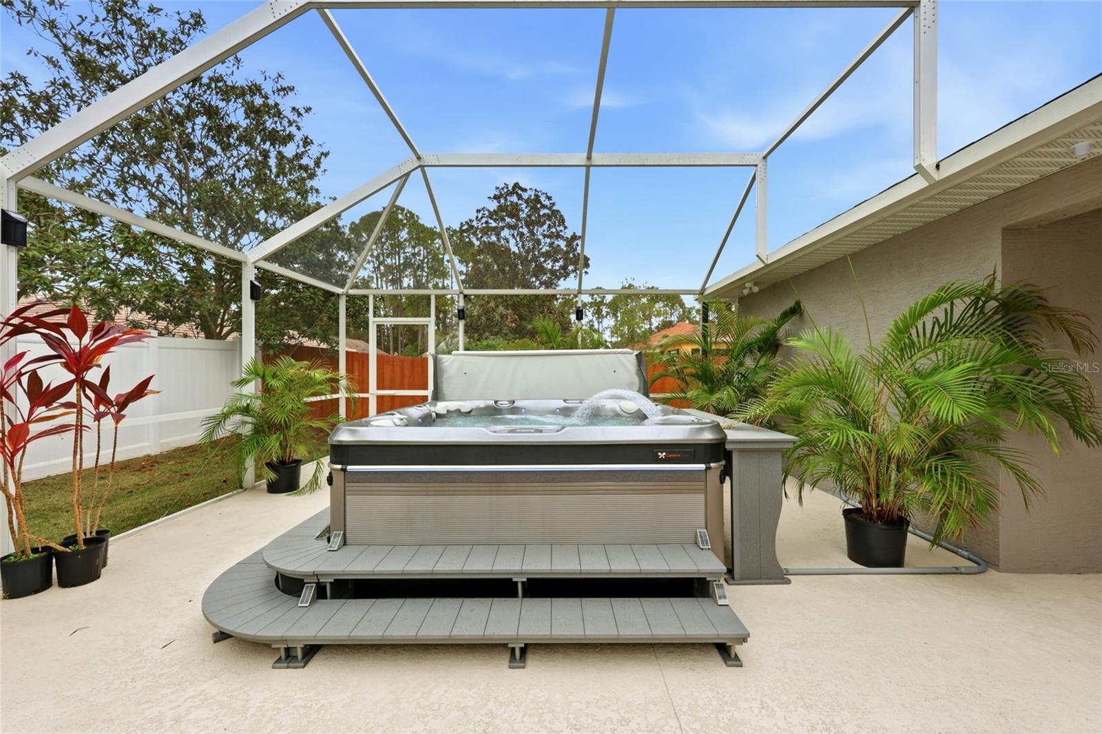 Image 51 of 64 For 15 Zonal Geranium Court