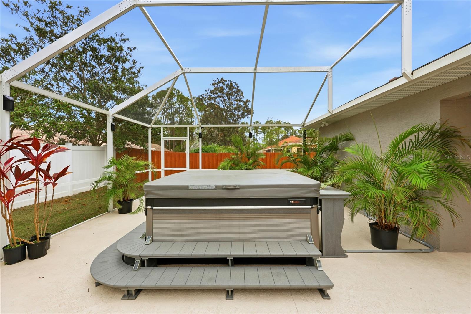 Image 53 of 64 For 15 Zonal Geranium Court