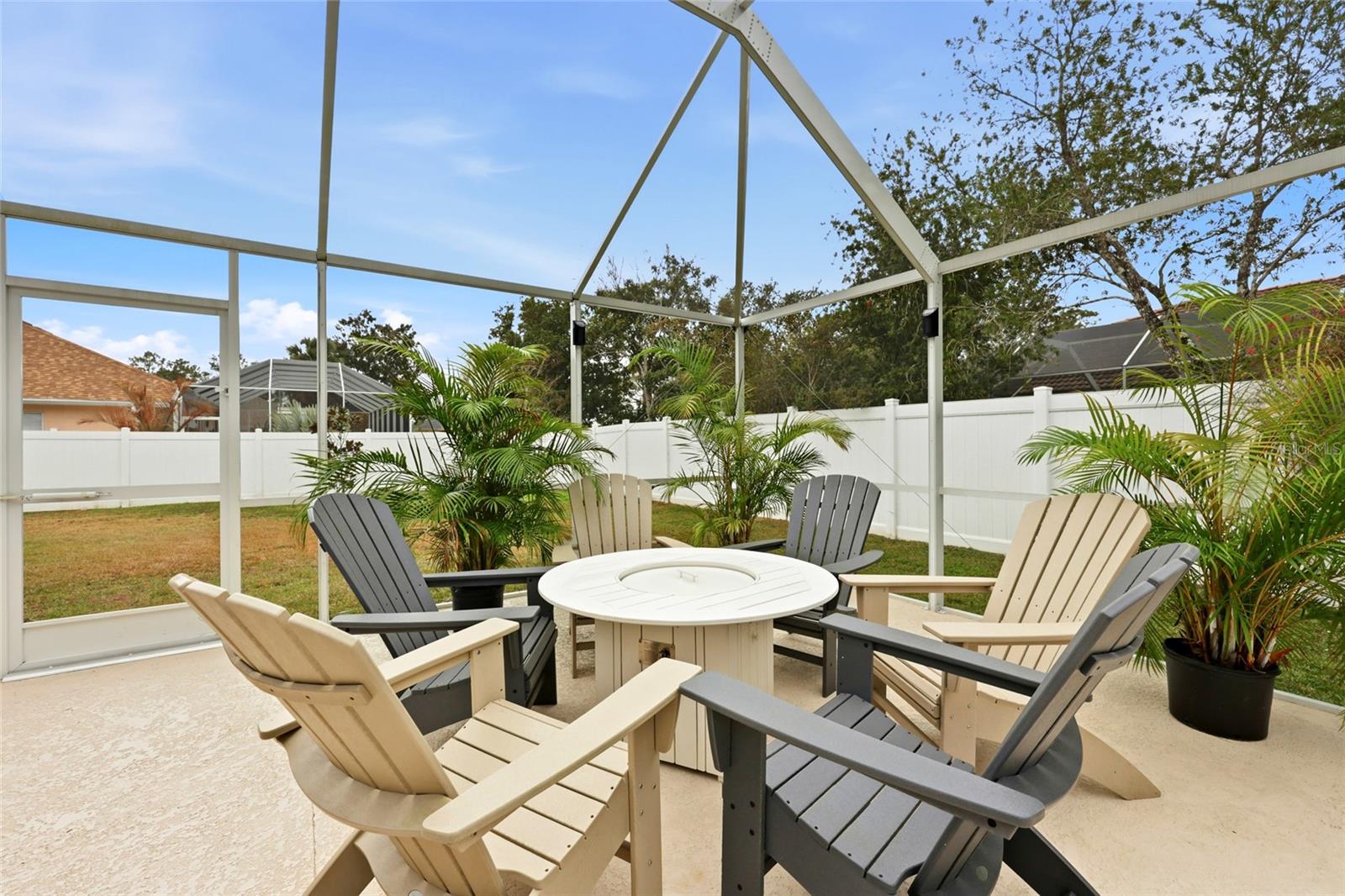 Image 57 of 64 For 15 Zonal Geranium Court