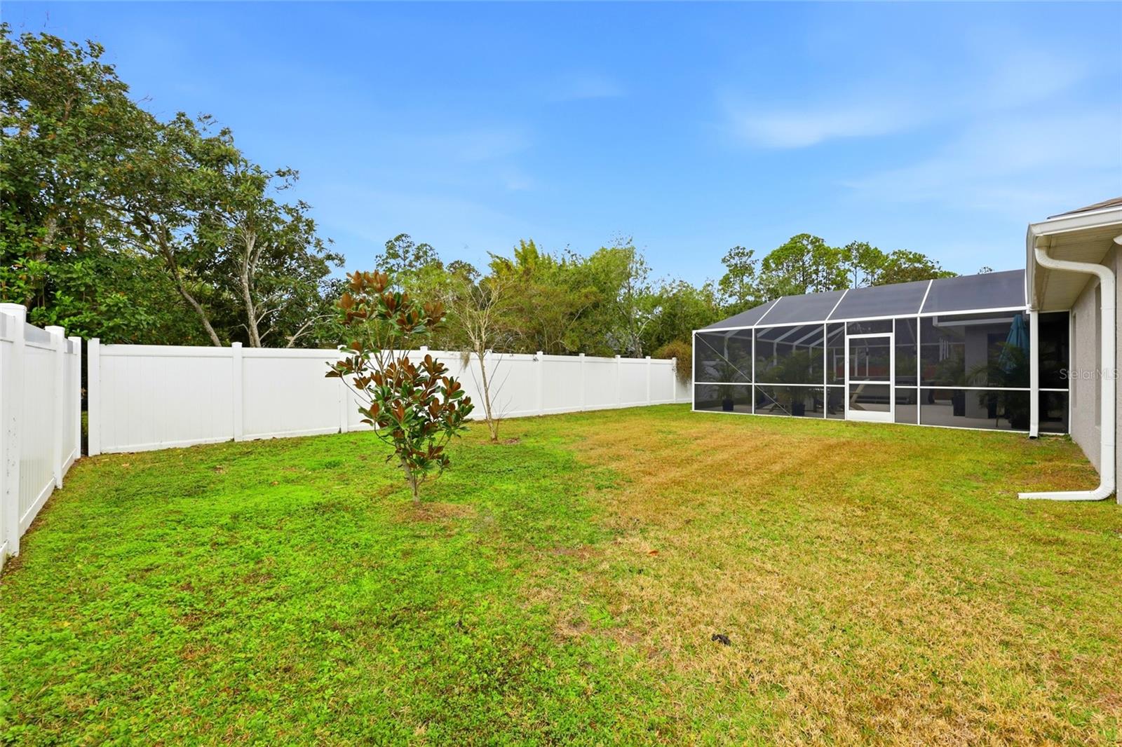 Image 62 of 64 For 15 Zonal Geranium Court