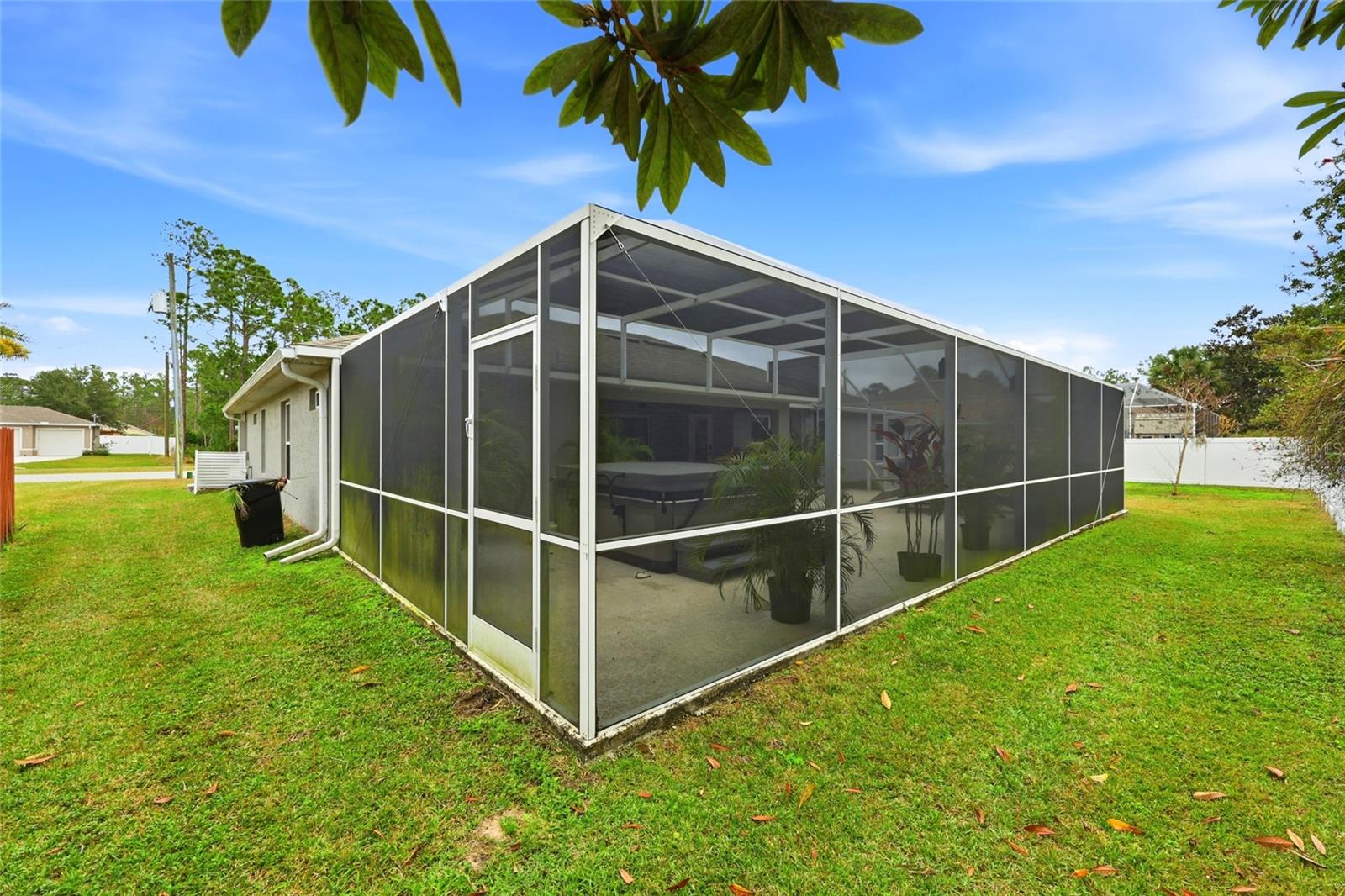 Image 63 of 64 For 15 Zonal Geranium Court