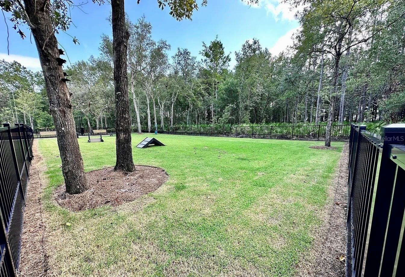 Image 37 of 39 For 46 Axel Falls Drive