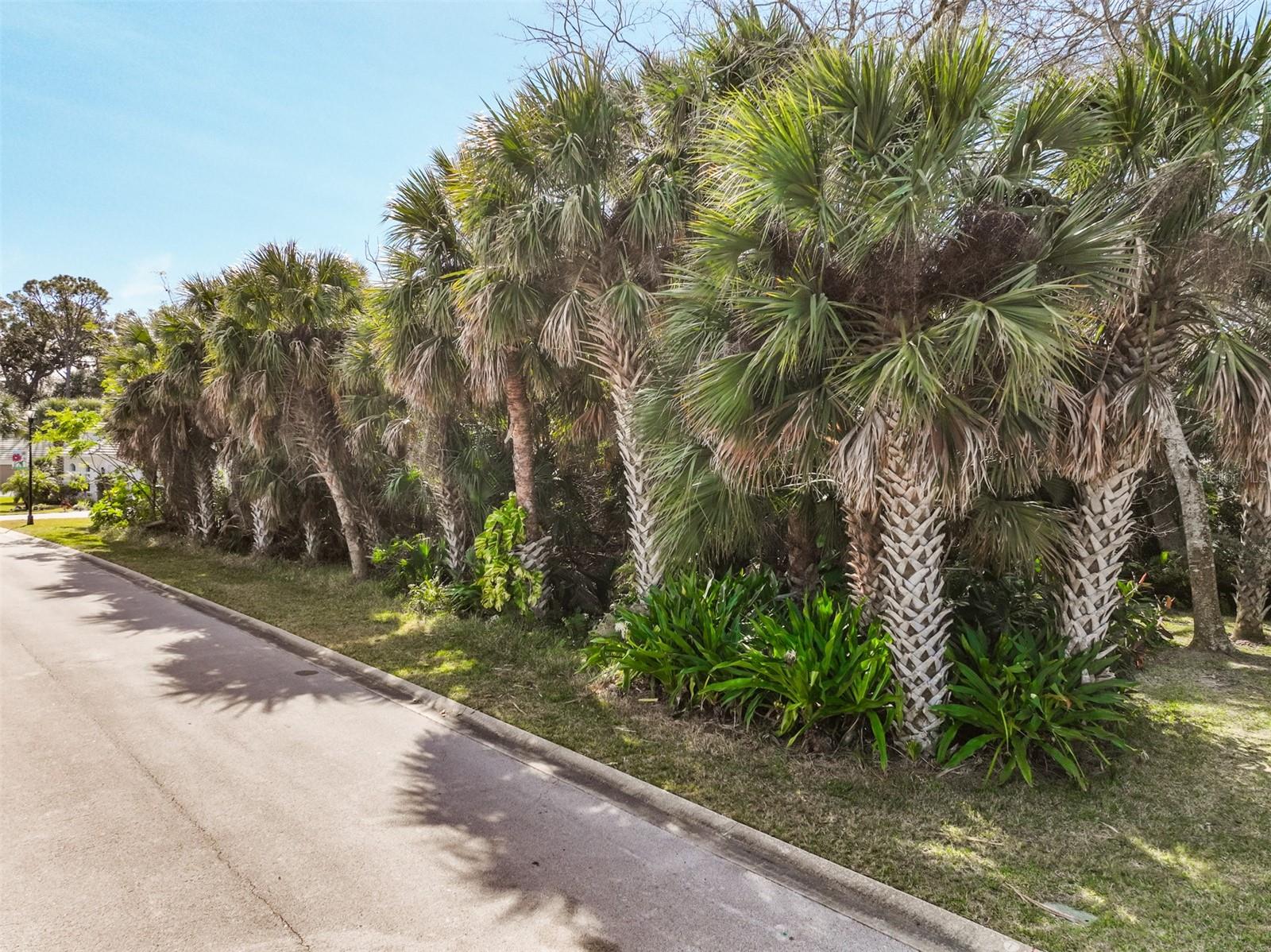 Image 18 of 43 For 49 Longview Way N