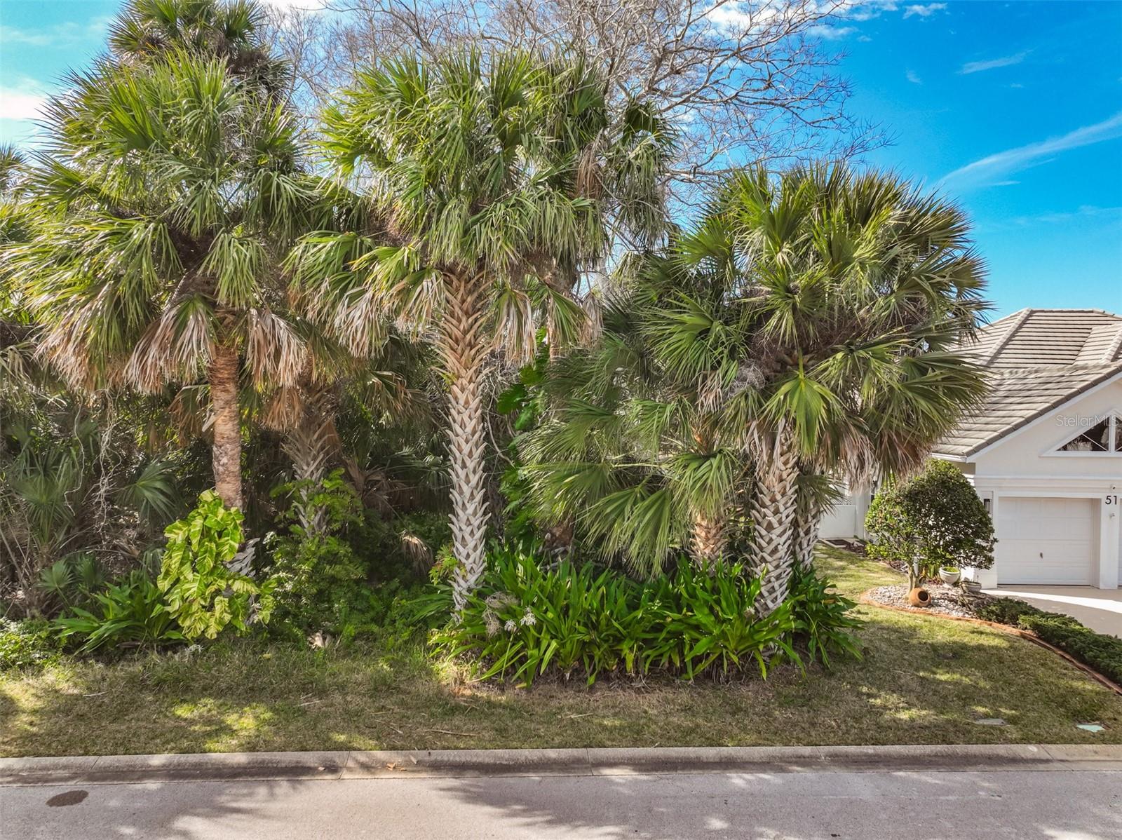 Image 19 of 43 For 49 Longview Way N