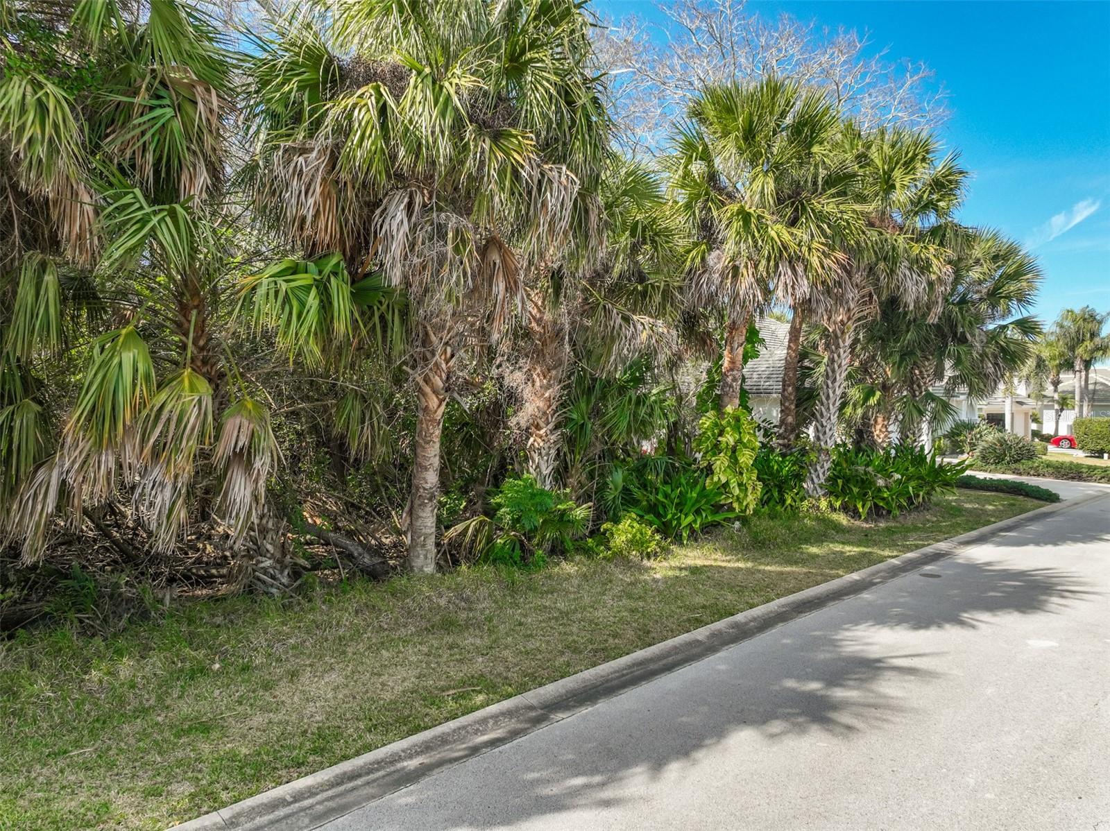 Image 20 of 43 For 49 Longview Way N