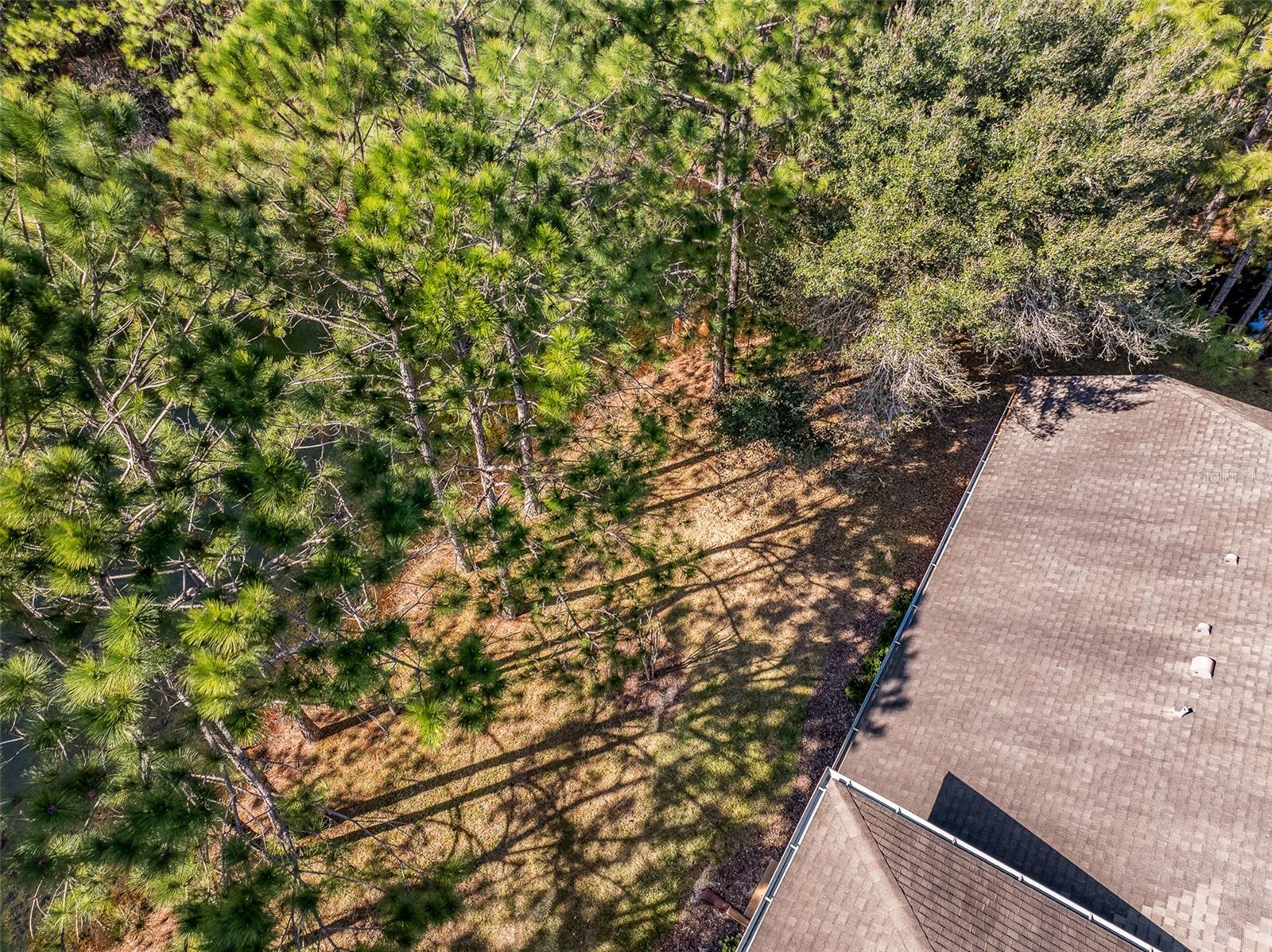 Image 41 of 75 For 1000 Kilkenny Lane