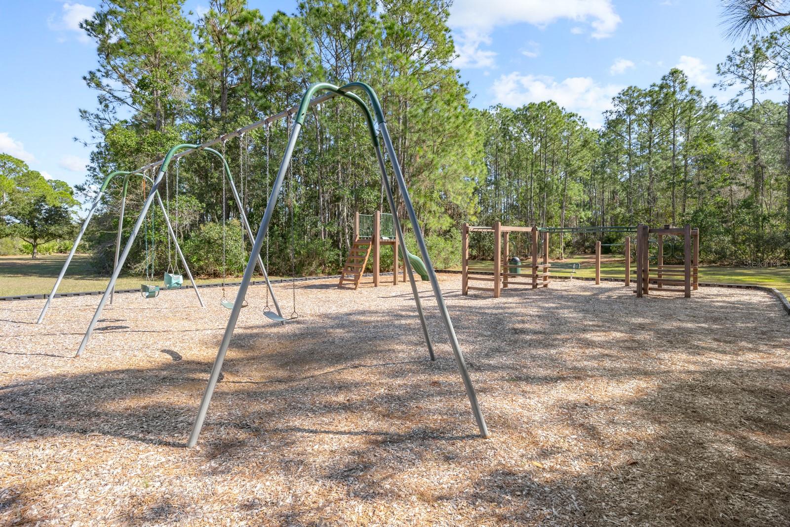 Image 83 of 98 For 466 Wooded Crossing Circle
