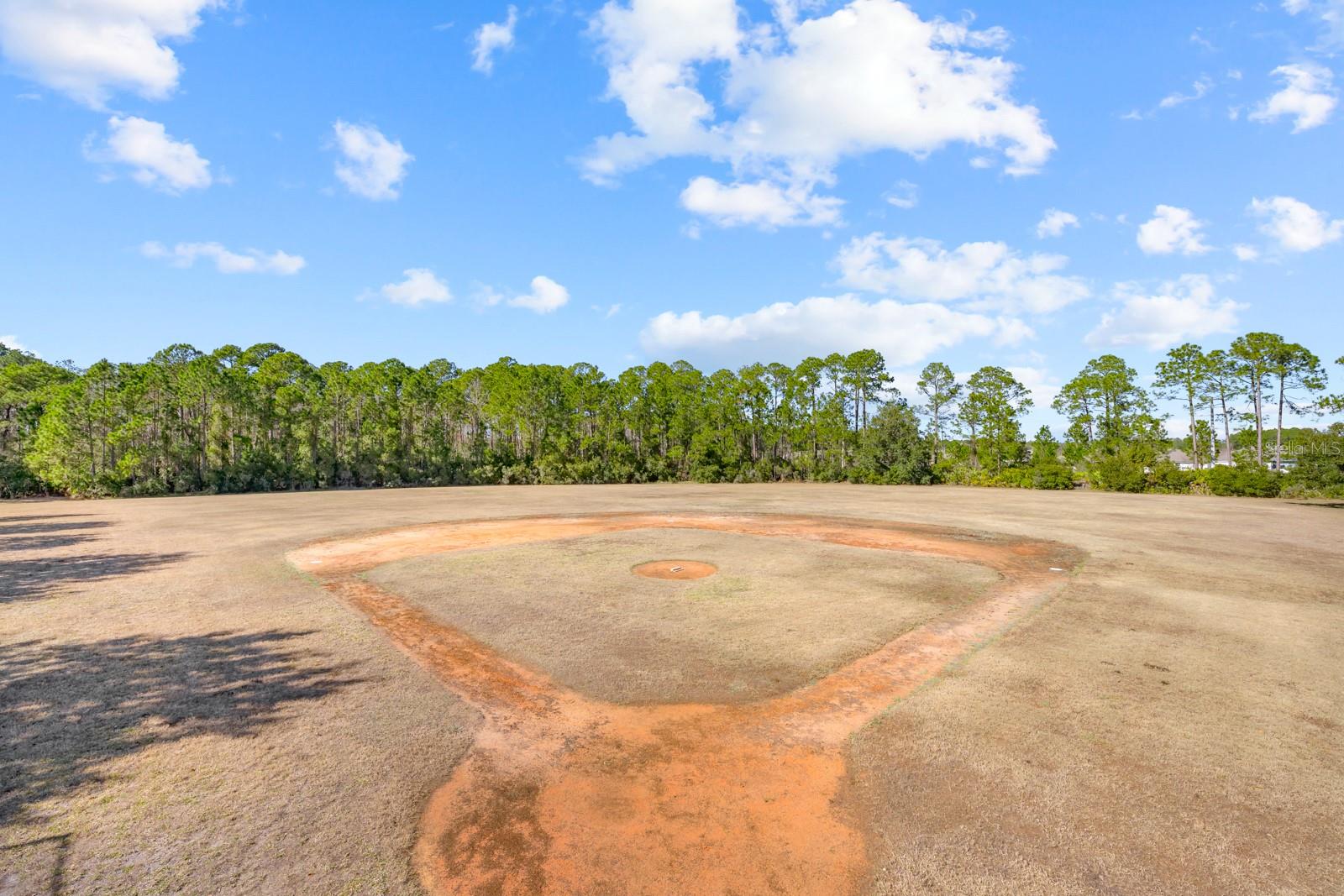 Image 87 of 98 For 466 Wooded Crossing Circle