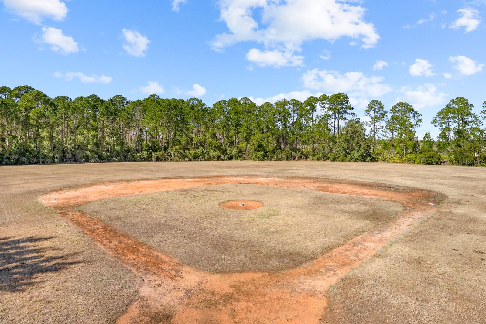 Image 88 of 98 For 466 Wooded Crossing Circle