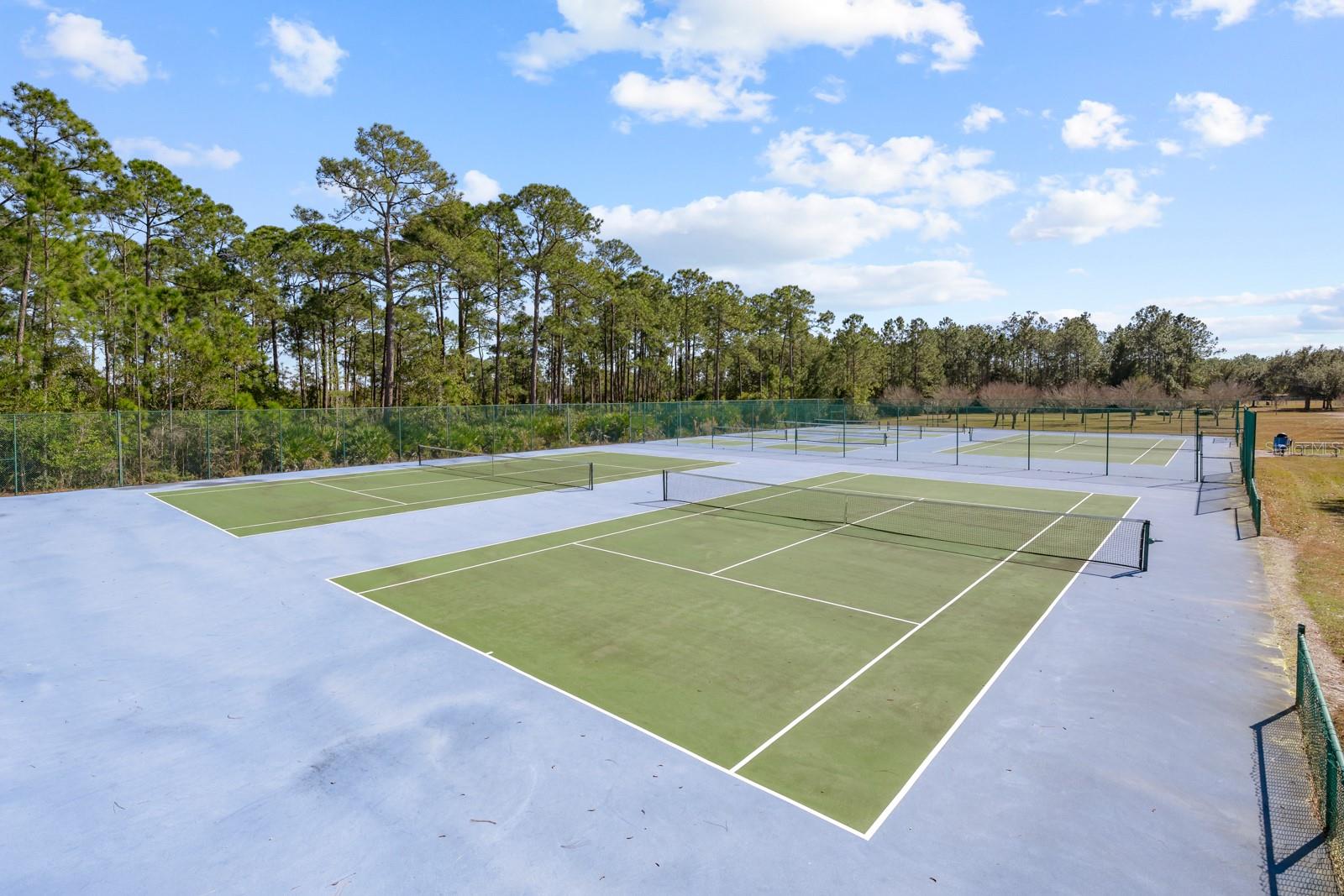 Image 90 of 98 For 466 Wooded Crossing Circle