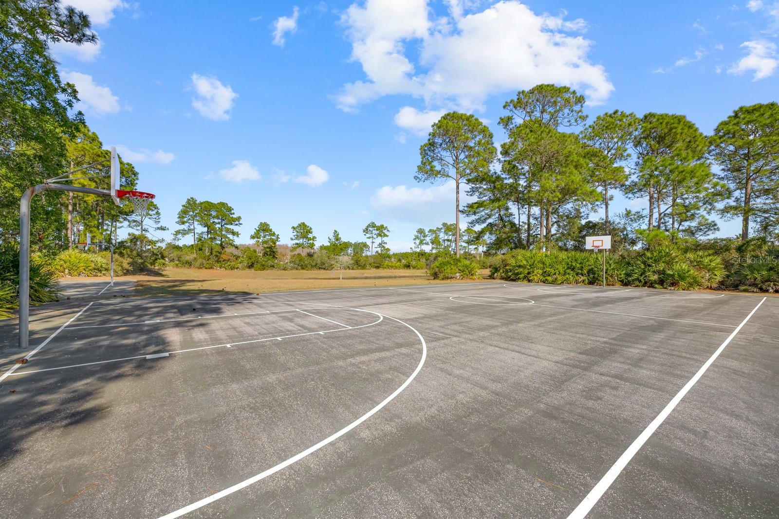 Image 94 of 98 For 466 Wooded Crossing Circle