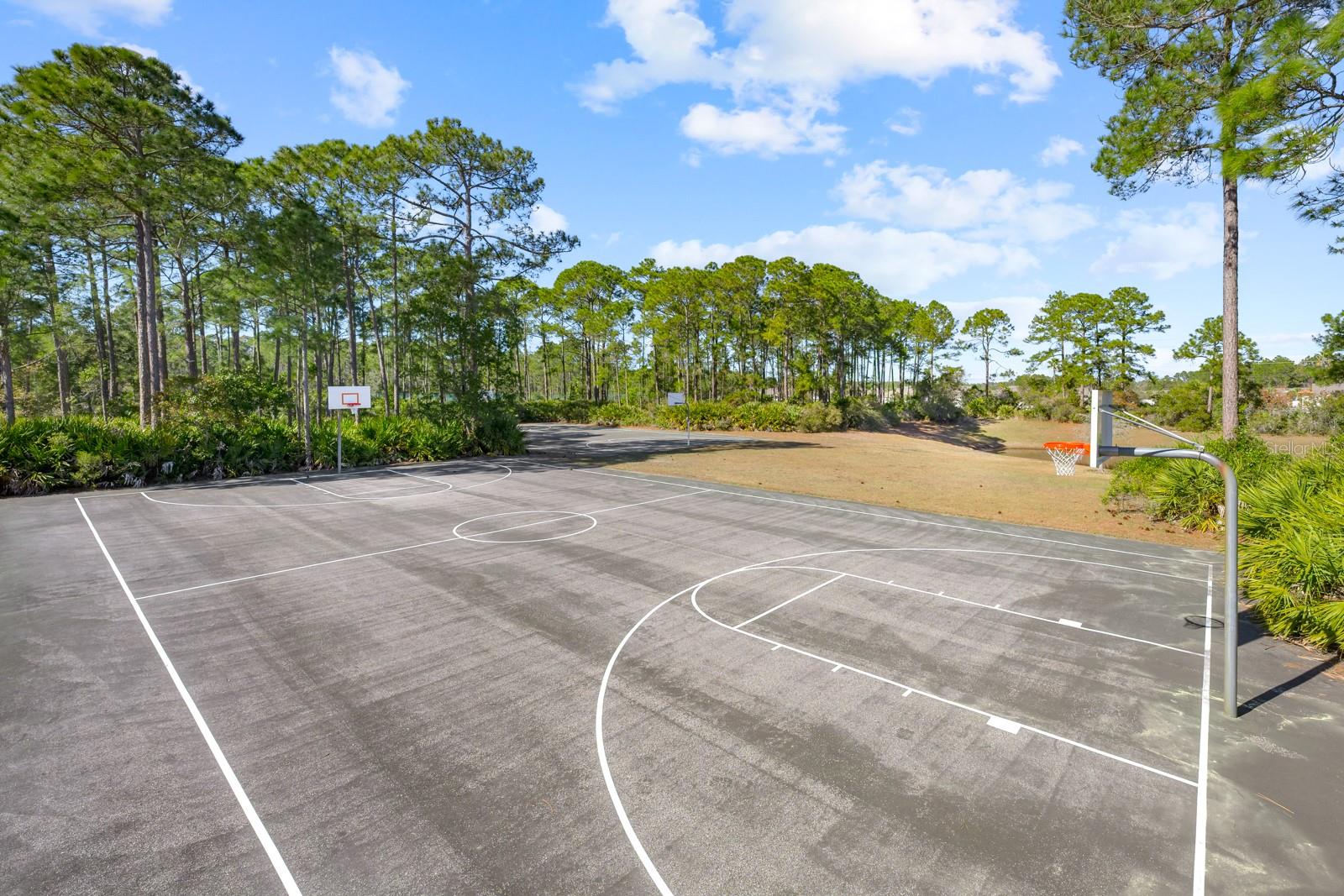 Image 95 of 98 For 466 Wooded Crossing Circle