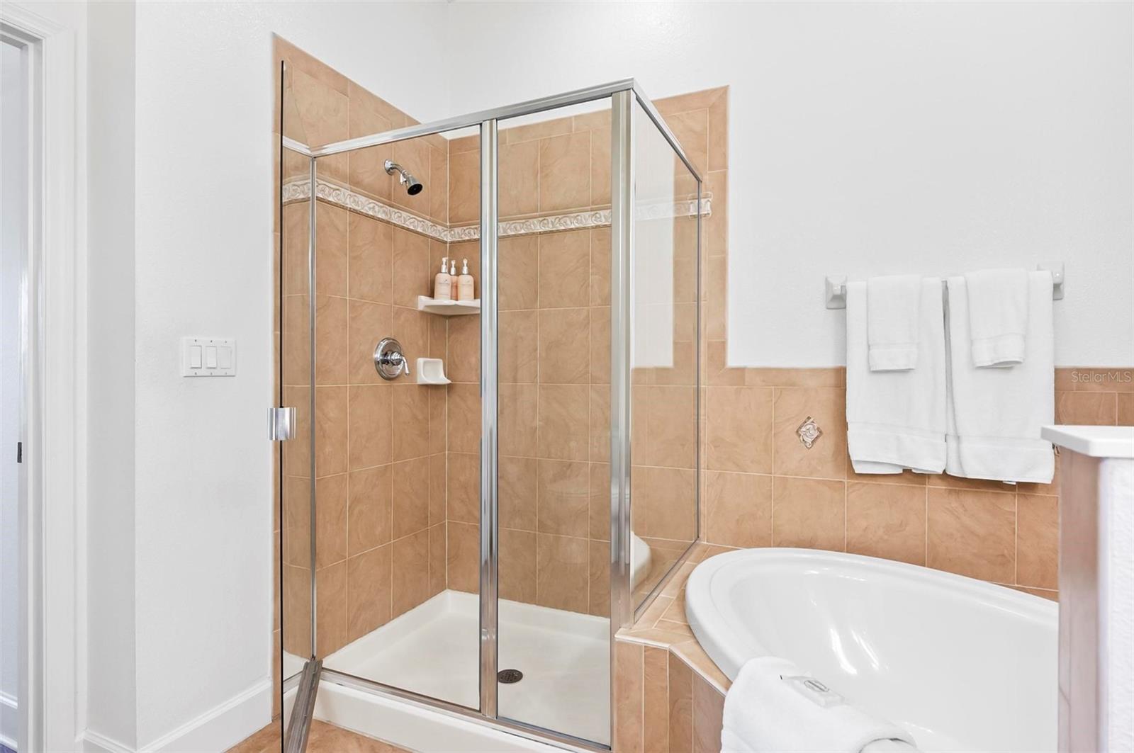 Image 29 of 92 For 200 Cinnamon Beach Way 122