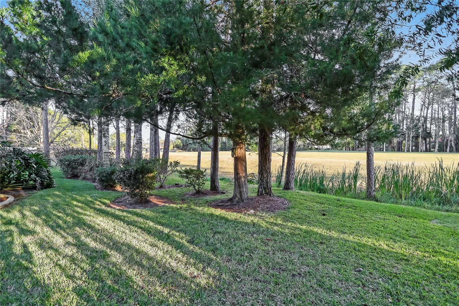 Image 47 of 53 For 16 Edgar Lane