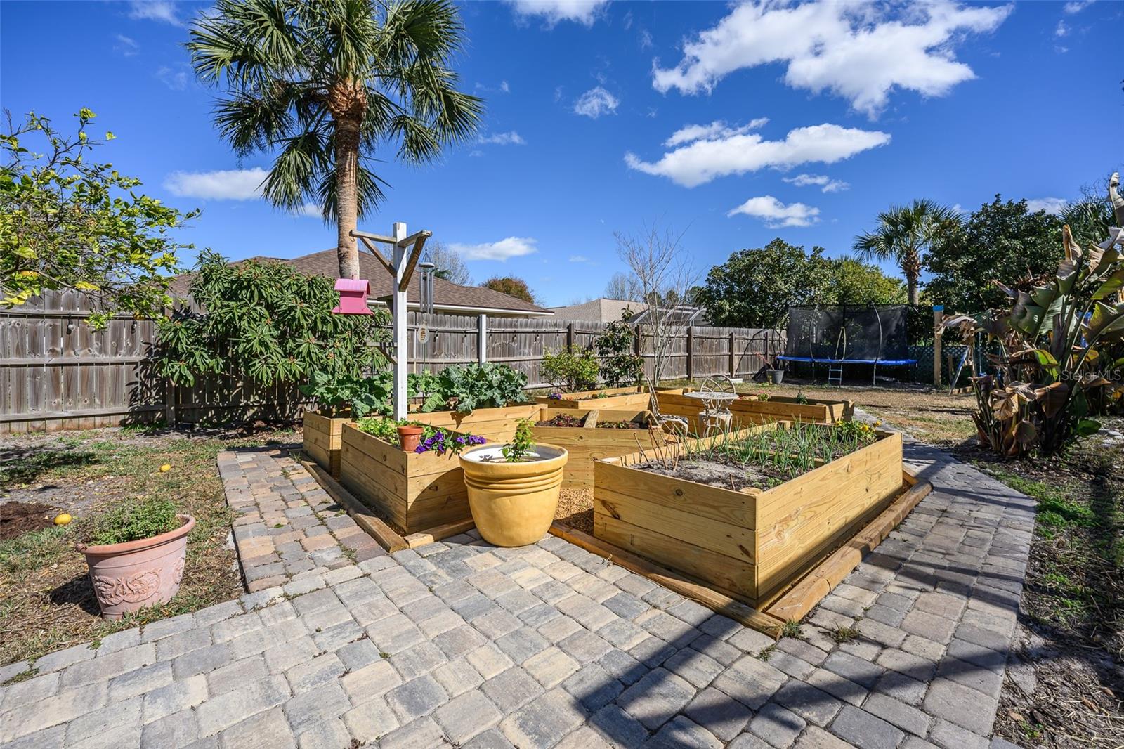 Image 6 of 74 For 220 Bird Of Paradise Drive