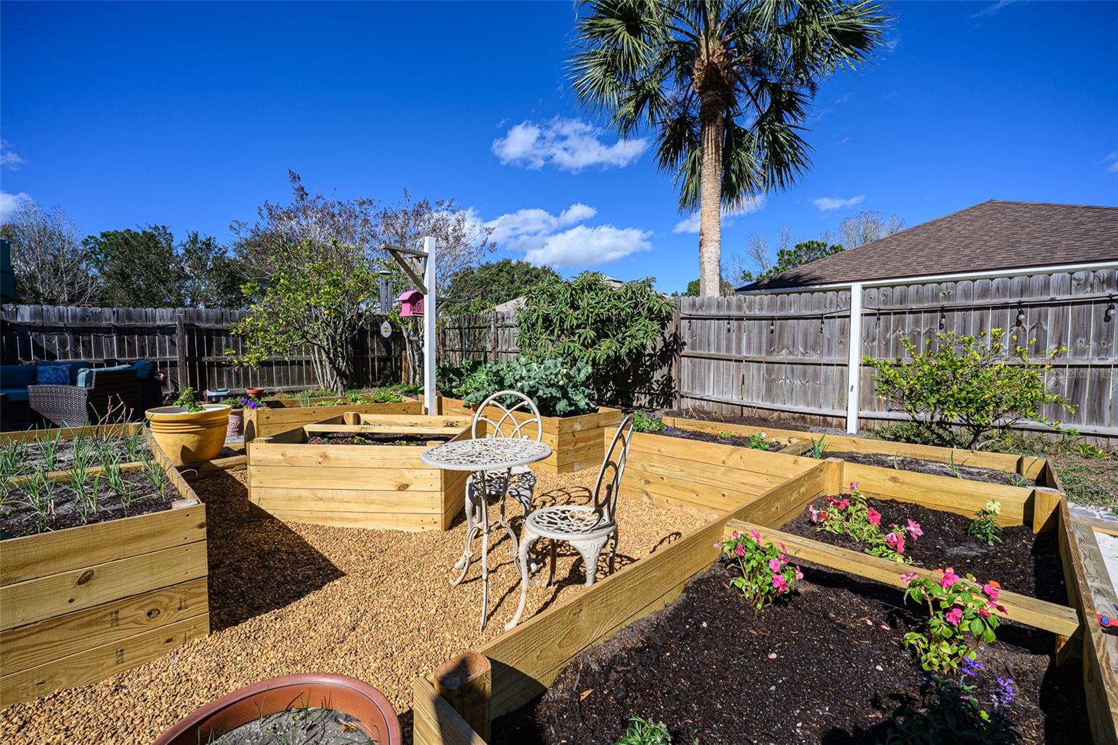 Image 64 of 74 For 220 Bird Of Paradise Drive