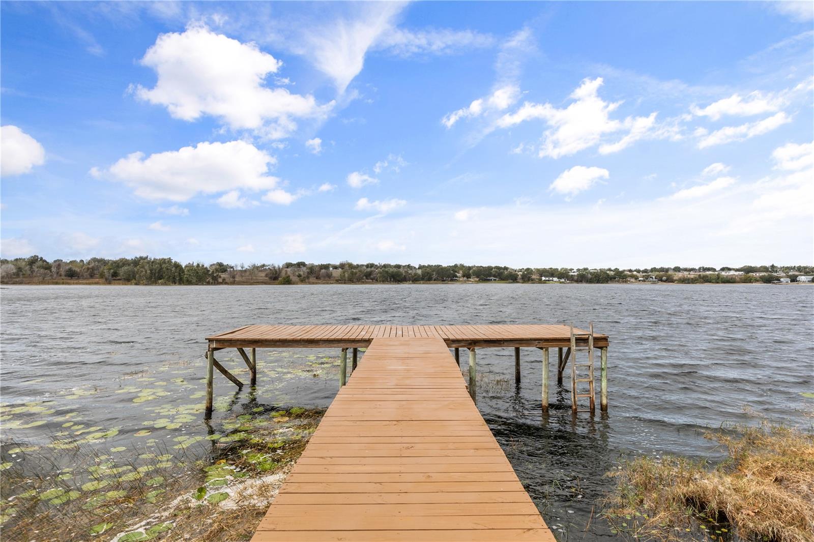 Image 39 of 48 For 9909 Jacaranda Avenue