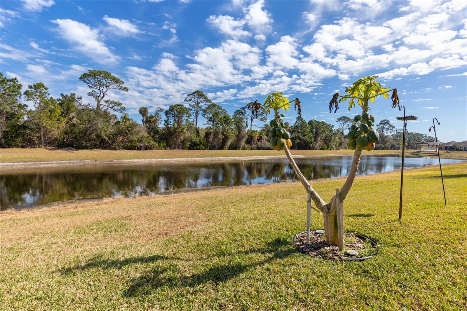 Image 53 of 85 For 69 Heron Drive