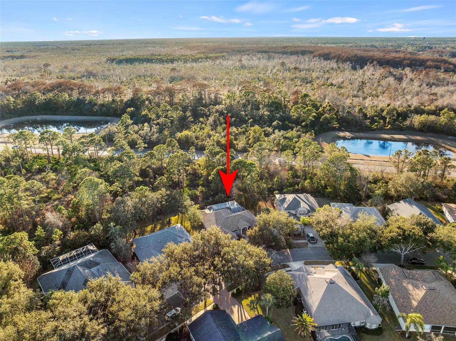 Listing photo id 41 for 6 Ibis Court N