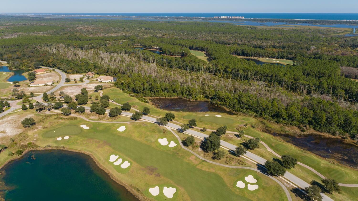 Image 87 of 99 For 401 Bourganville Drive