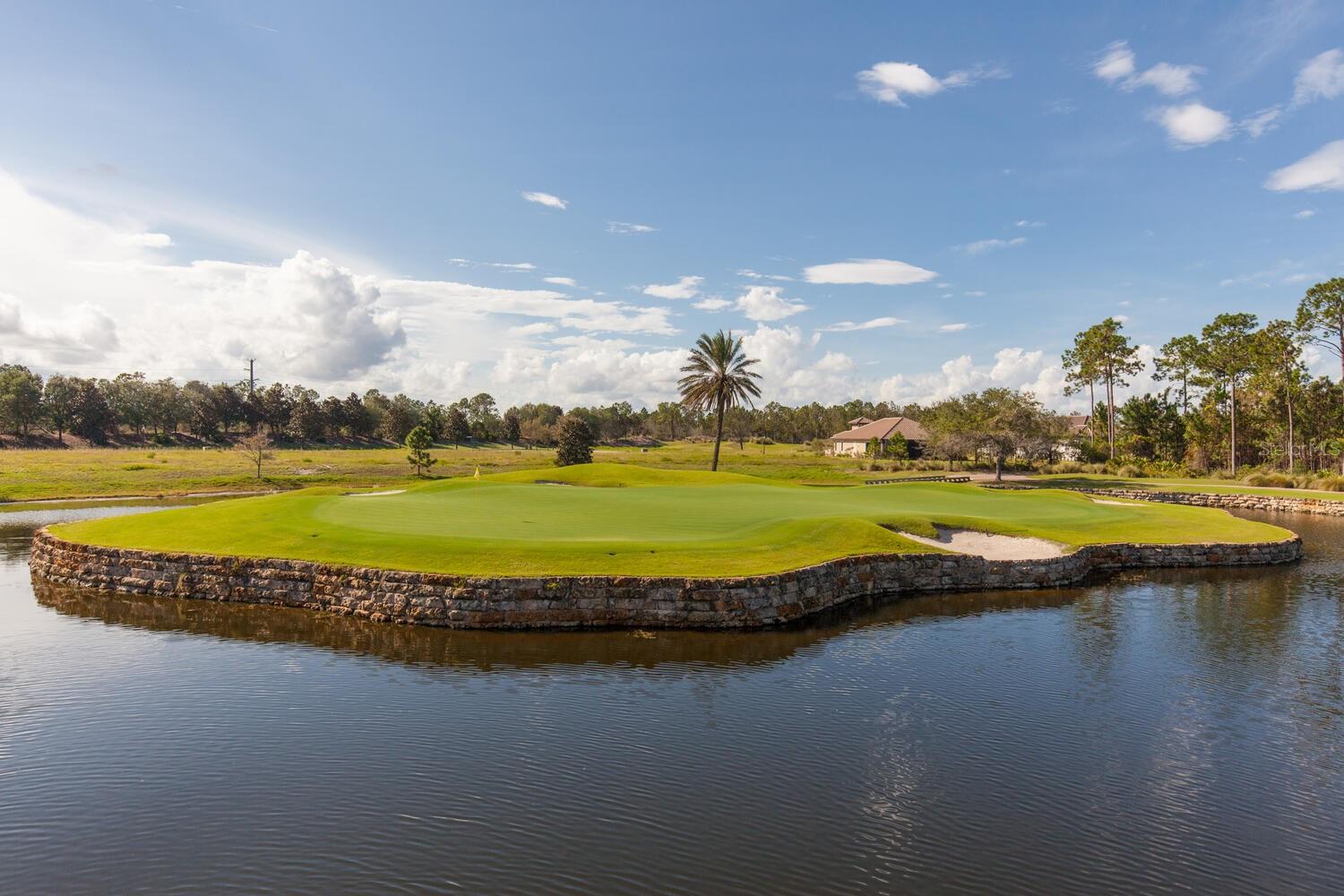 Image 93 of 99 For 401 Bourganville Drive