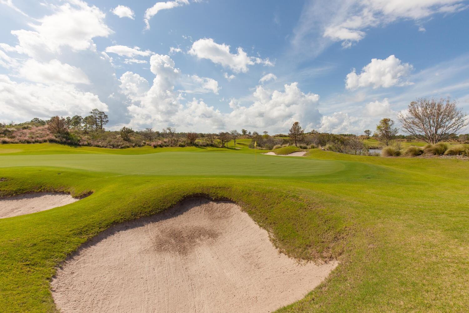 Image 95 of 99 For 401 Bourganville Drive