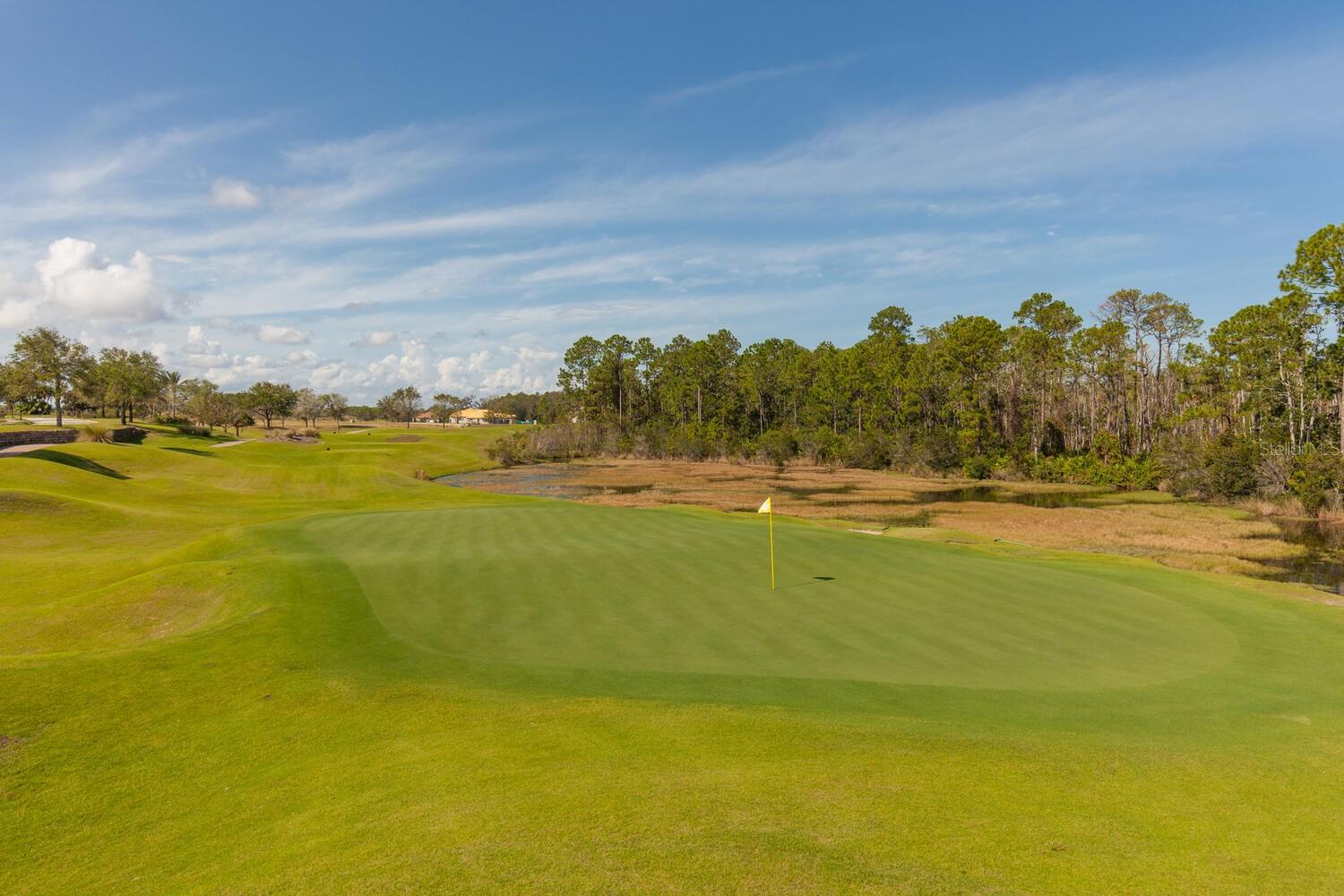 Image 97 of 99 For 401 Bourganville Drive