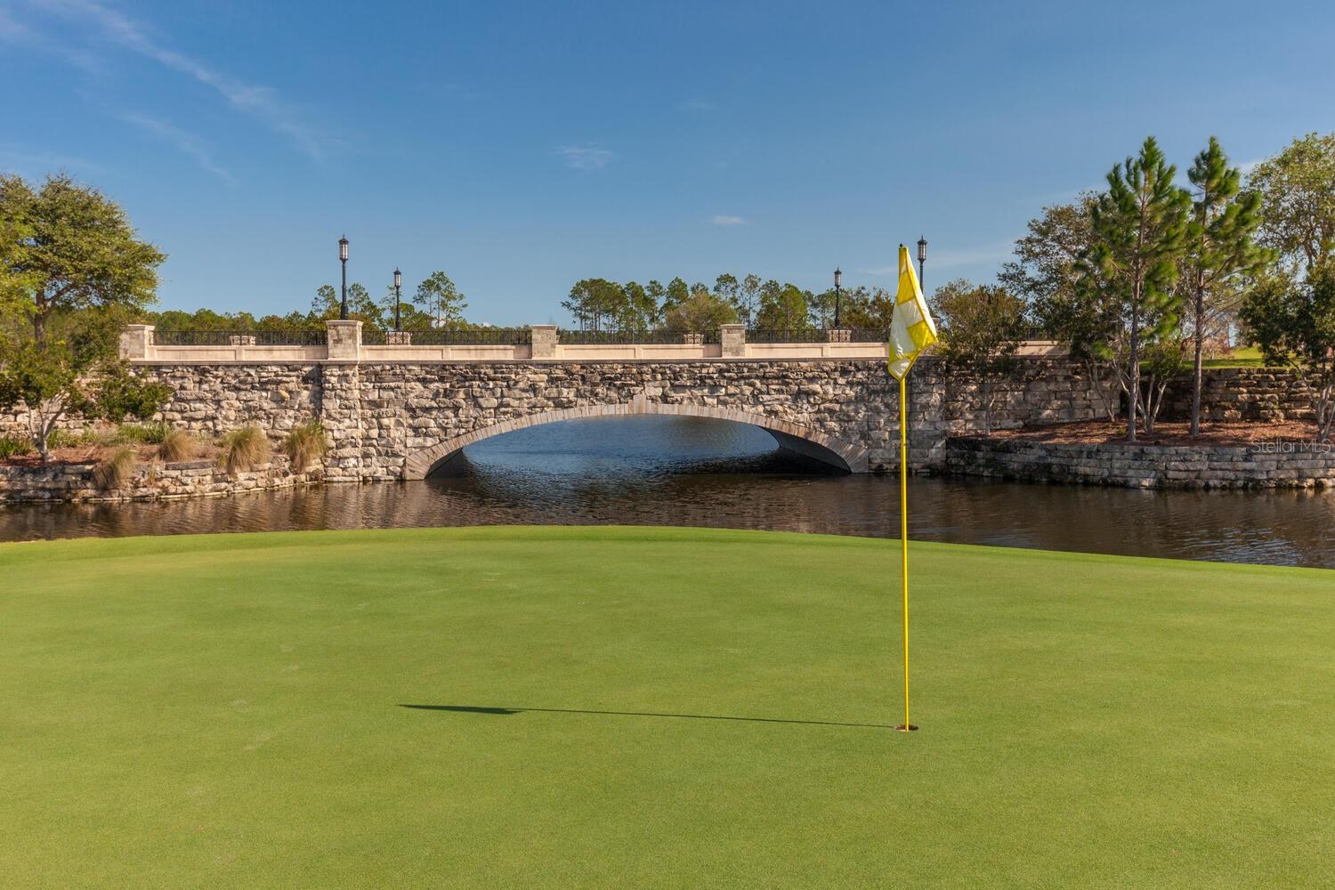 Image 98 of 99 For 401 Bourganville Drive