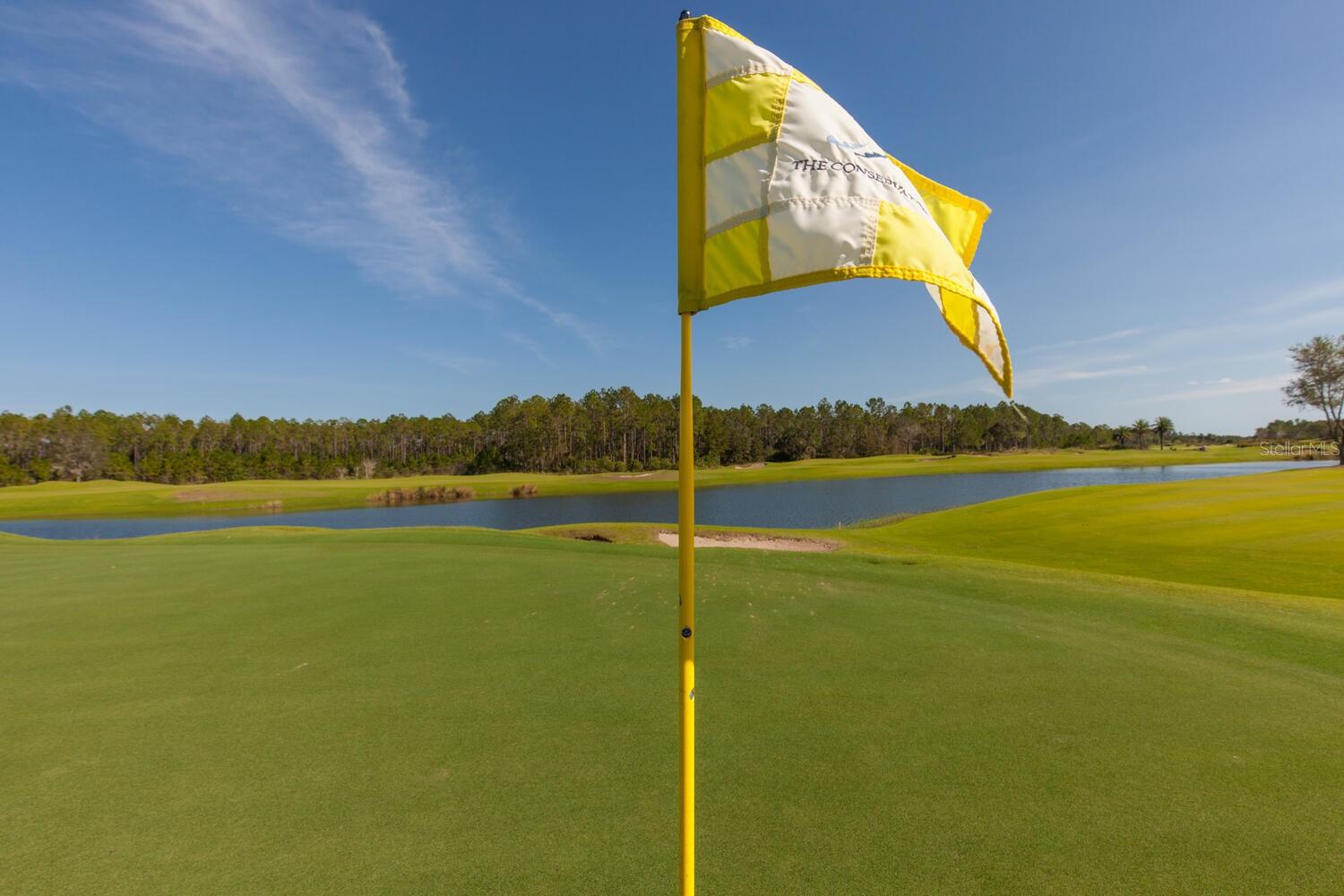 Image 99 of 99 For 401 Bourganville Drive