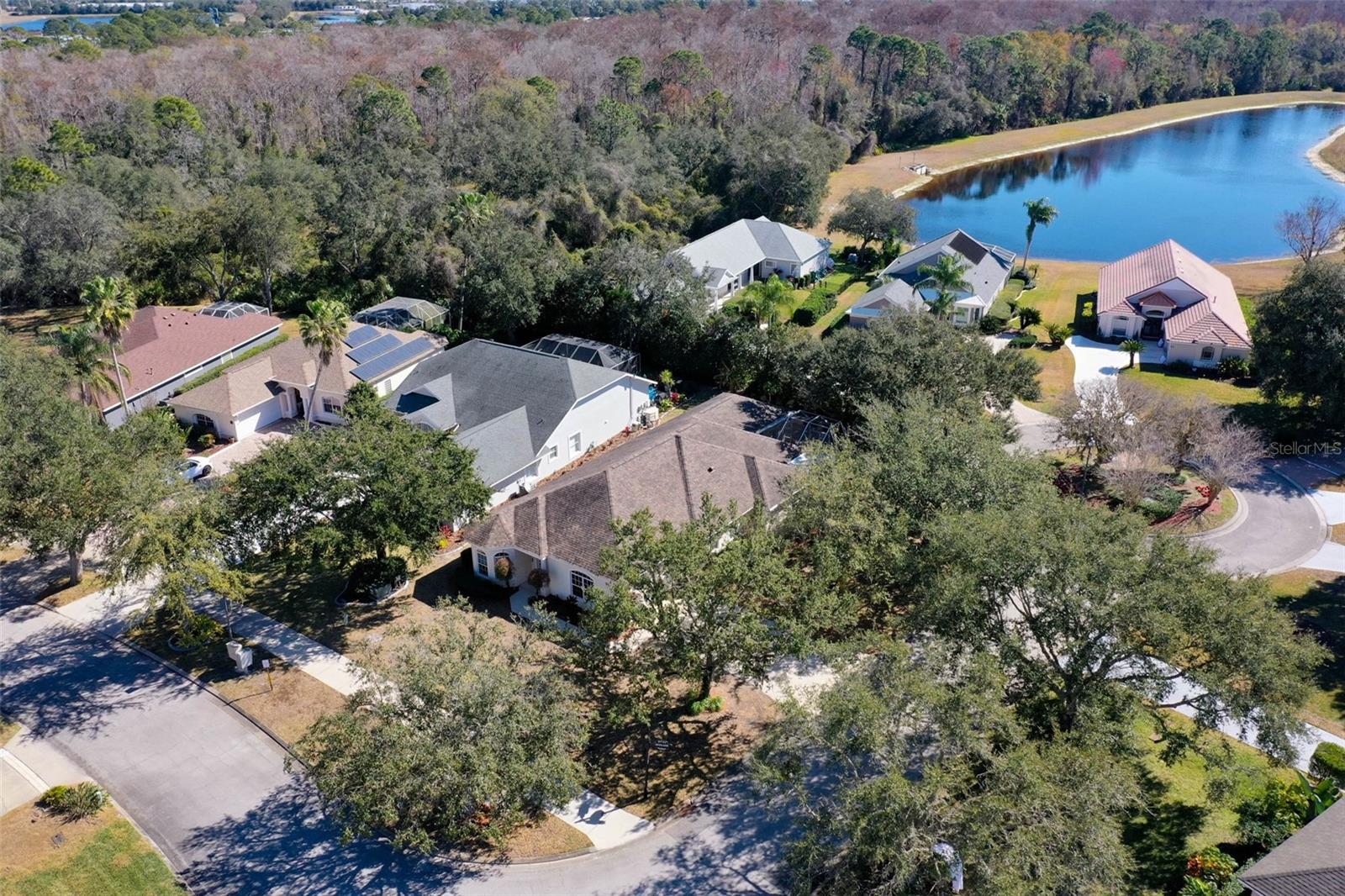 Image 65 of 98 For 35 Acclaim At Lionspaw