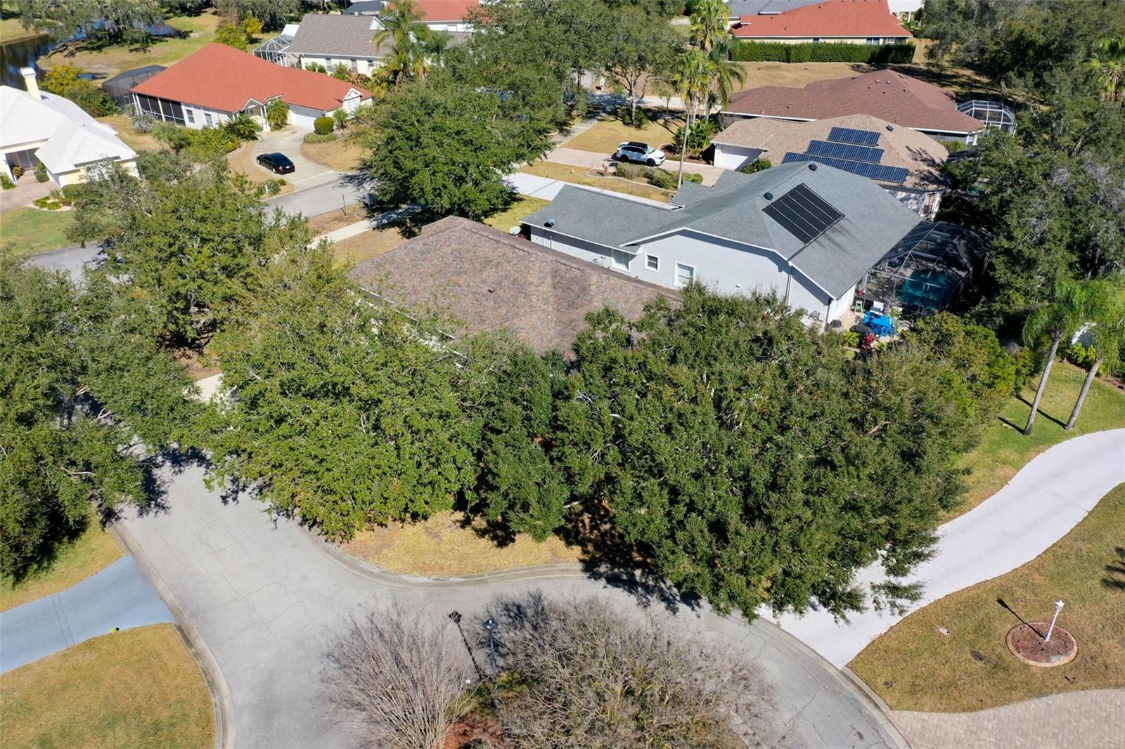 Image 66 of 98 For 35 Acclaim At Lionspaw