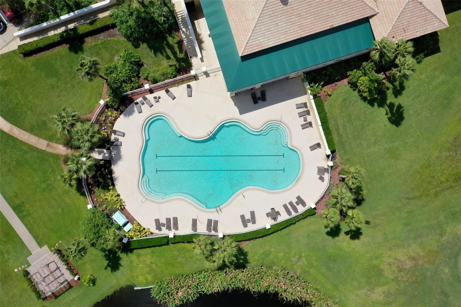 Image 83 of 98 For 35 Acclaim At Lionspaw