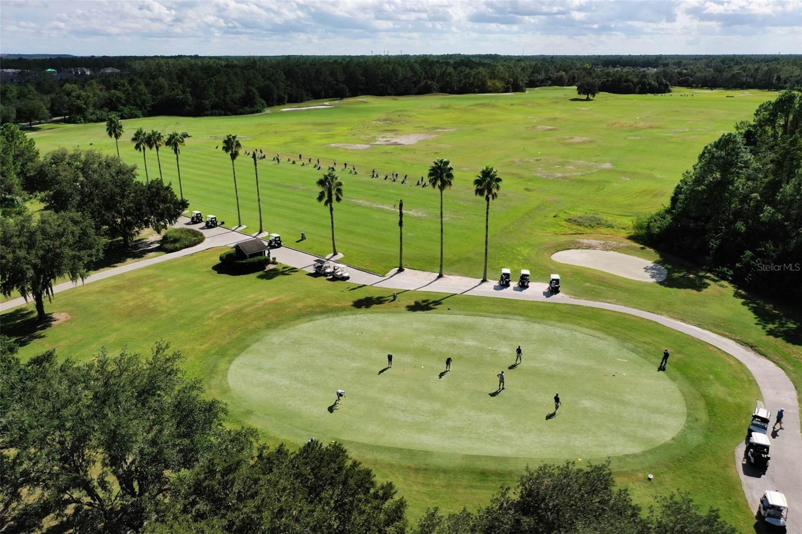 Image 86 of 98 For 35 Acclaim At Lionspaw